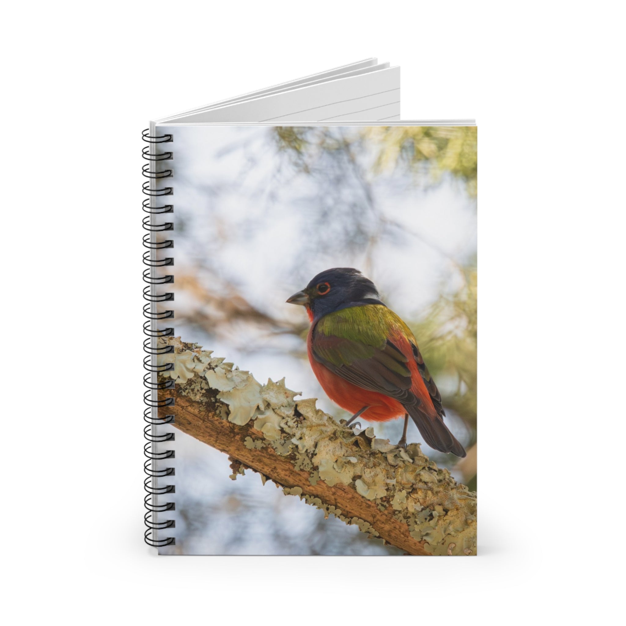 Painted Bunting Spiral Notebook — Colorful Songbird Journal (Ruled)