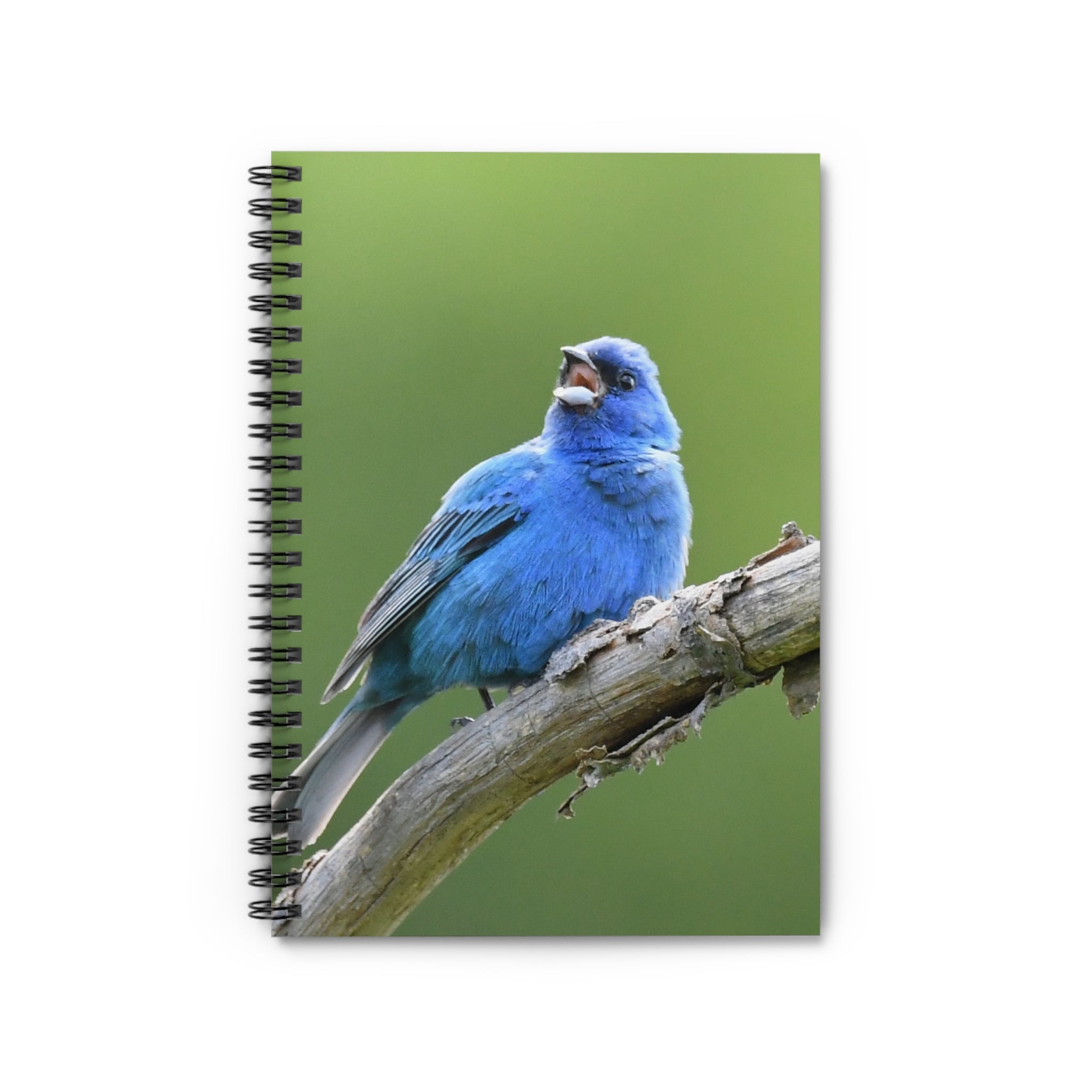 Indigo Bunting Spiral Notebook — Blue Songbird Ruled Journal