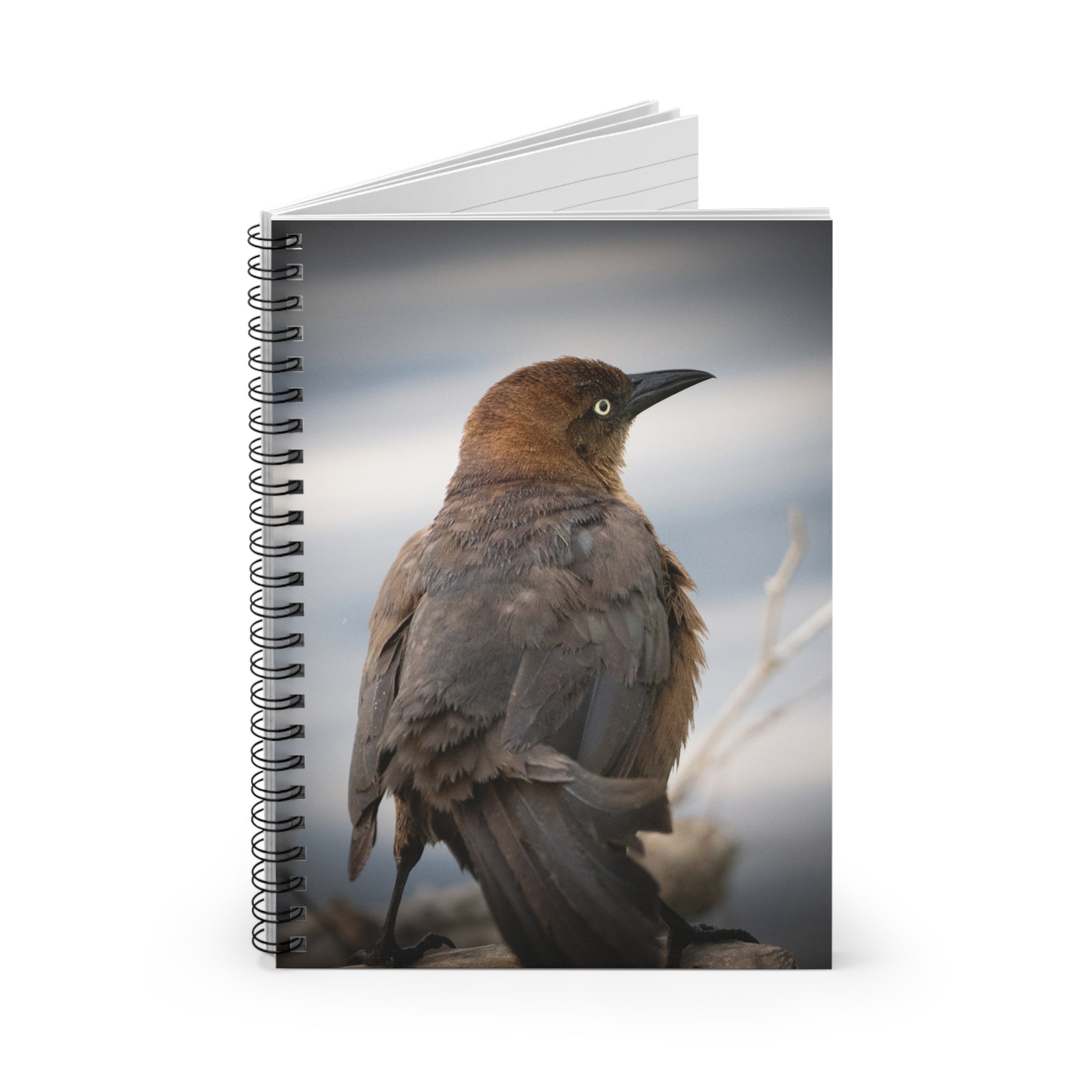 Brown Grackle Photography Spiral Notebook — Ruled Lined Journal for Bird Lovers