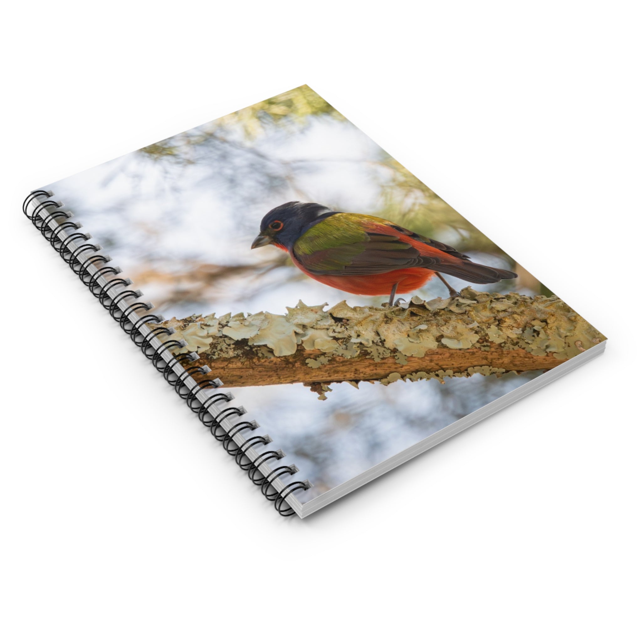 Painted Bunting Spiral Notebook — Colorful Songbird Journal (Ruled)