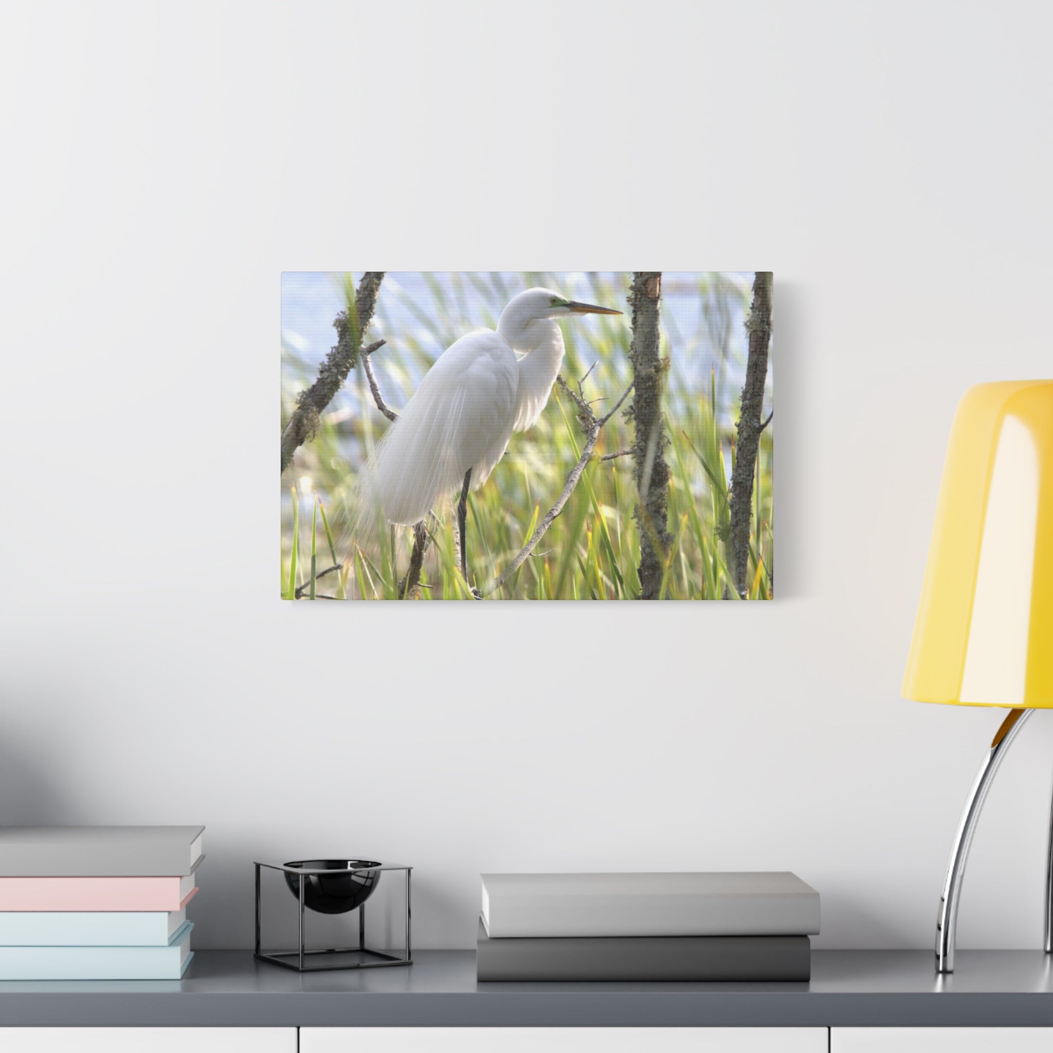 Snowy Egrete on Matte Canvas, Stretched, 1.25"