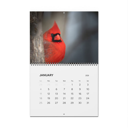 2026 Songbird Wall Calendar — Monthly Song Birds Calendar