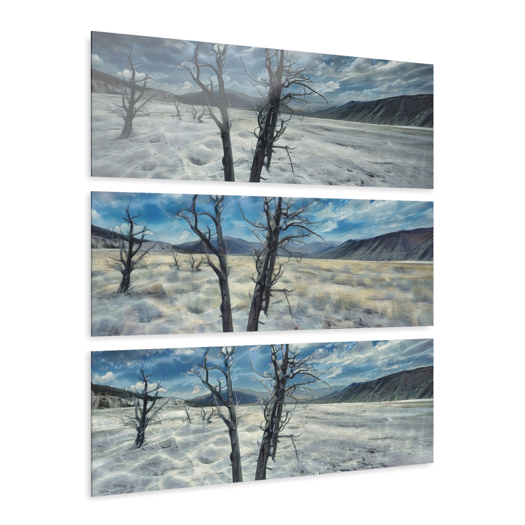 Yellowstone, Mammoth Springs, Triptych Acrylic Wall Art — Dead Trees Landscape Panorama