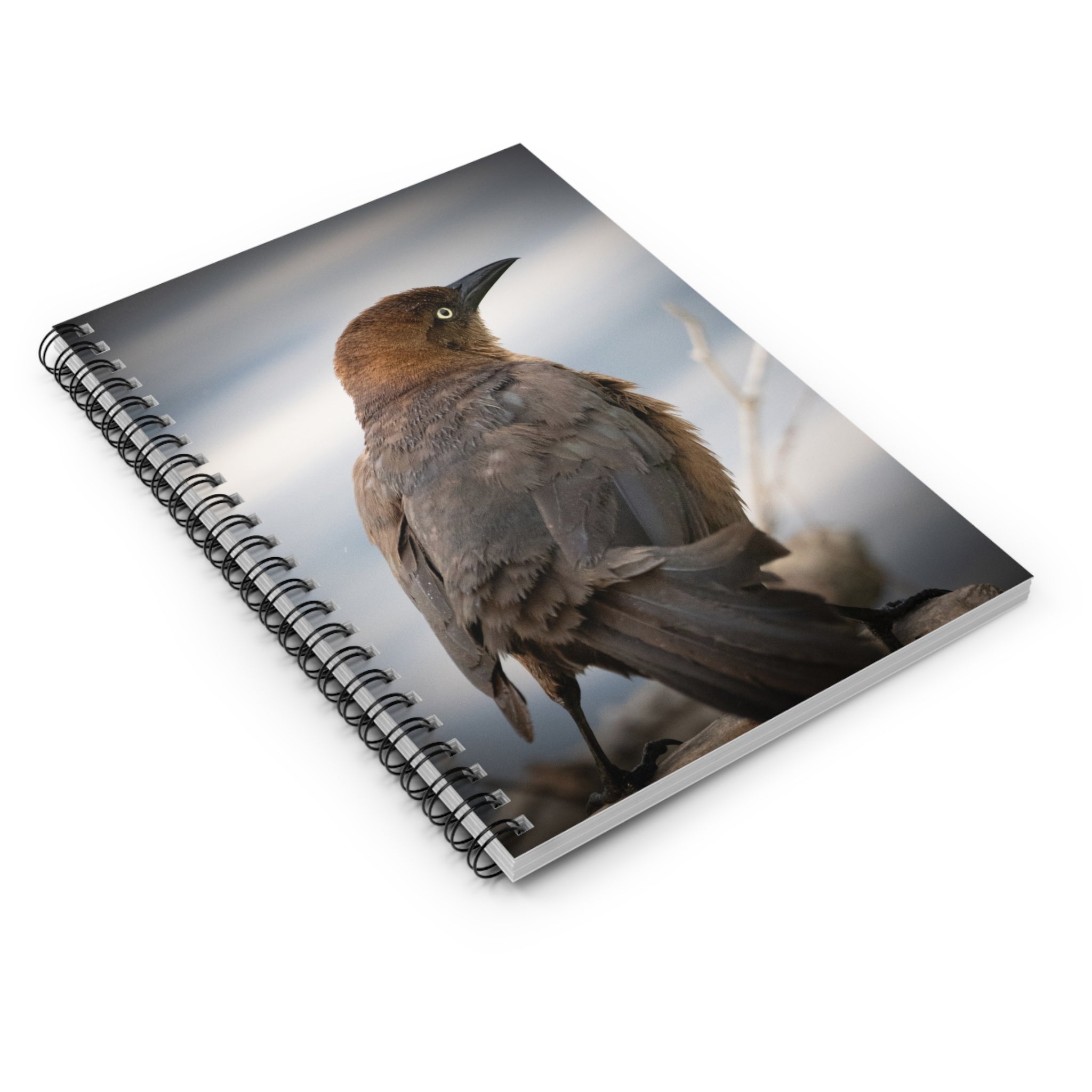 Brown Grackle Photography Spiral Notebook — Ruled Lined Journal for Bird Lovers