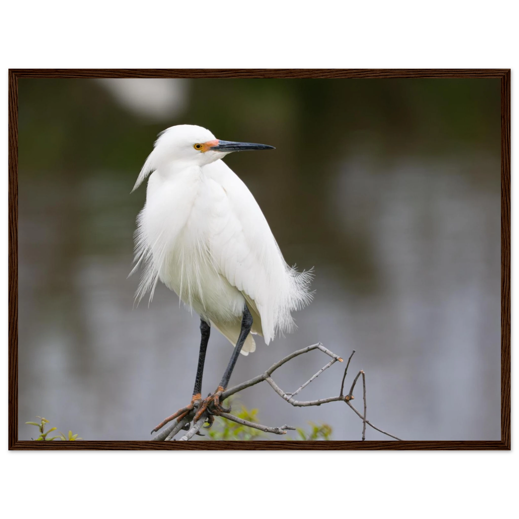 6889a44d-30d9-493f-88f8-319a586bffd3