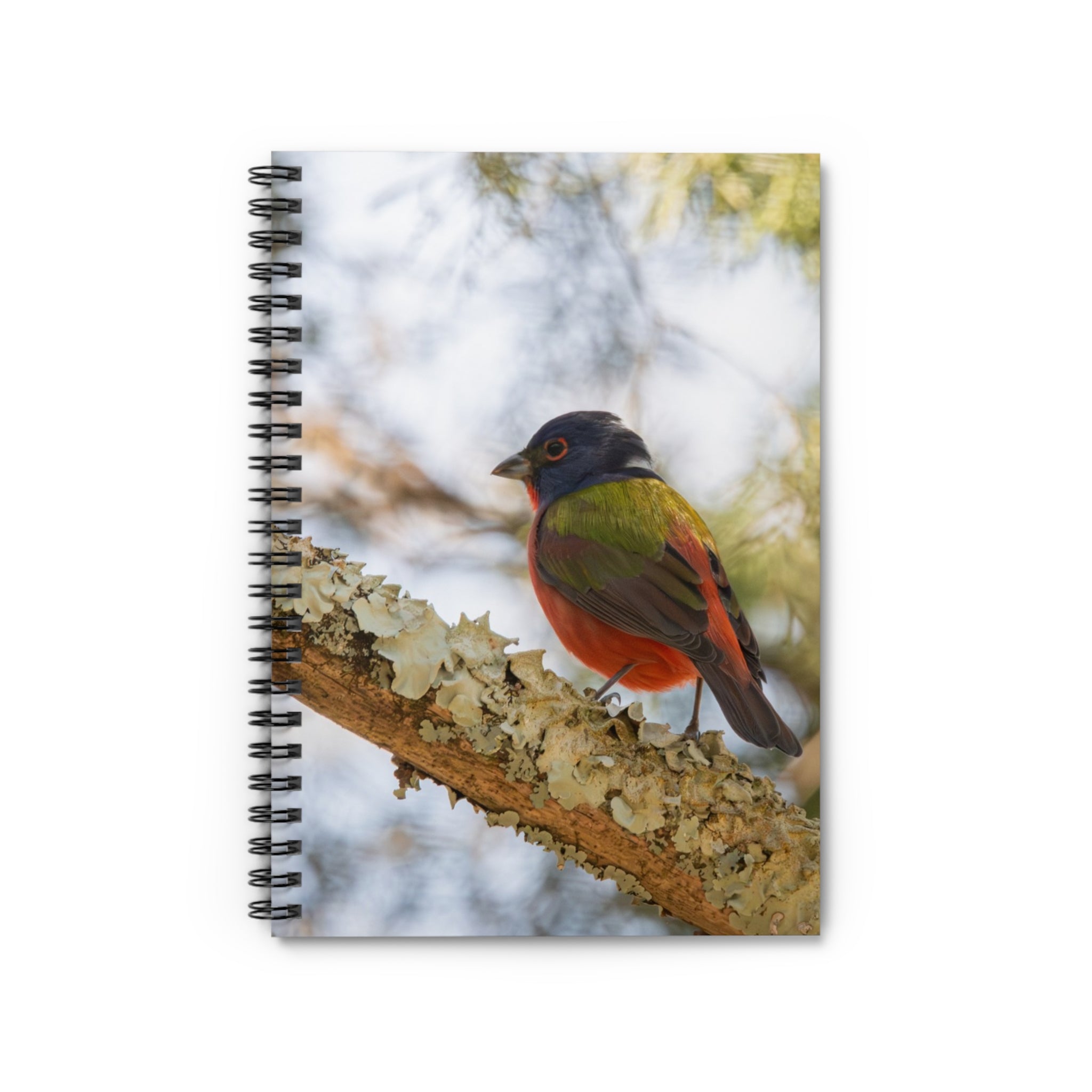 Painted Bunting Spiral Notebook — Colorful Songbird Journal (Ruled)