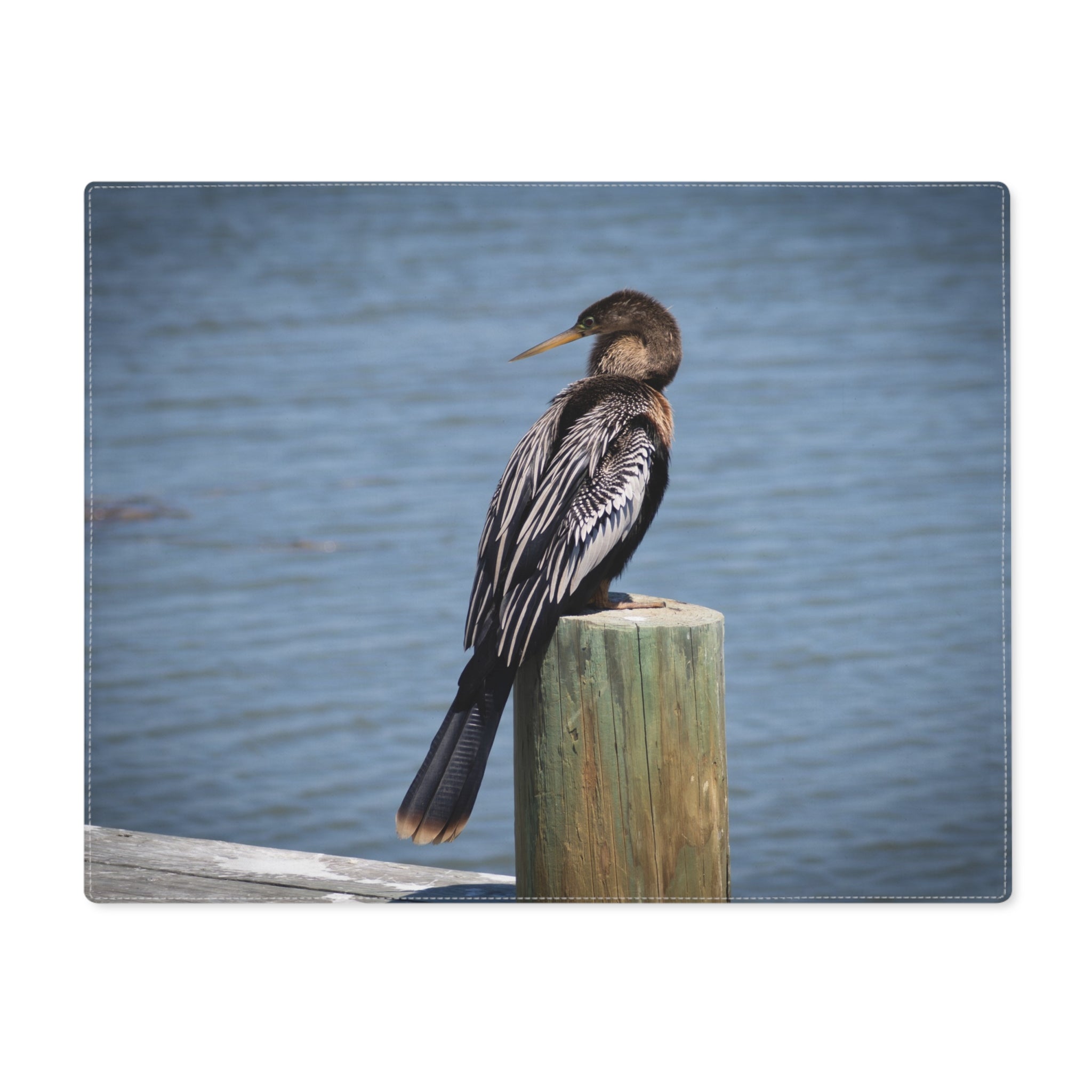 Cormorant Dockside Placemat — Coastal Bird Photography Table Mat