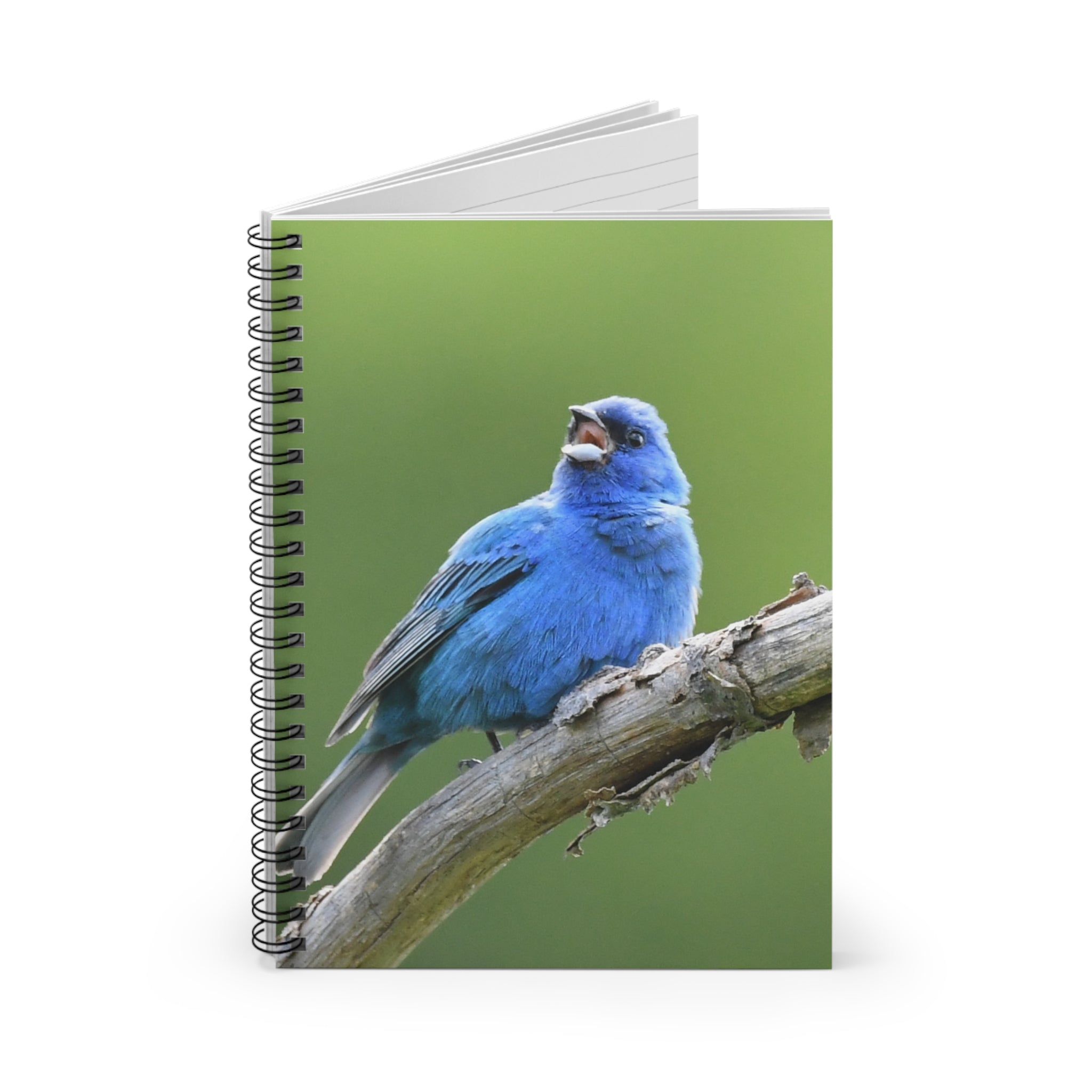 Indigo Bunting Spiral Notebook — Blue Songbird Ruled Journal