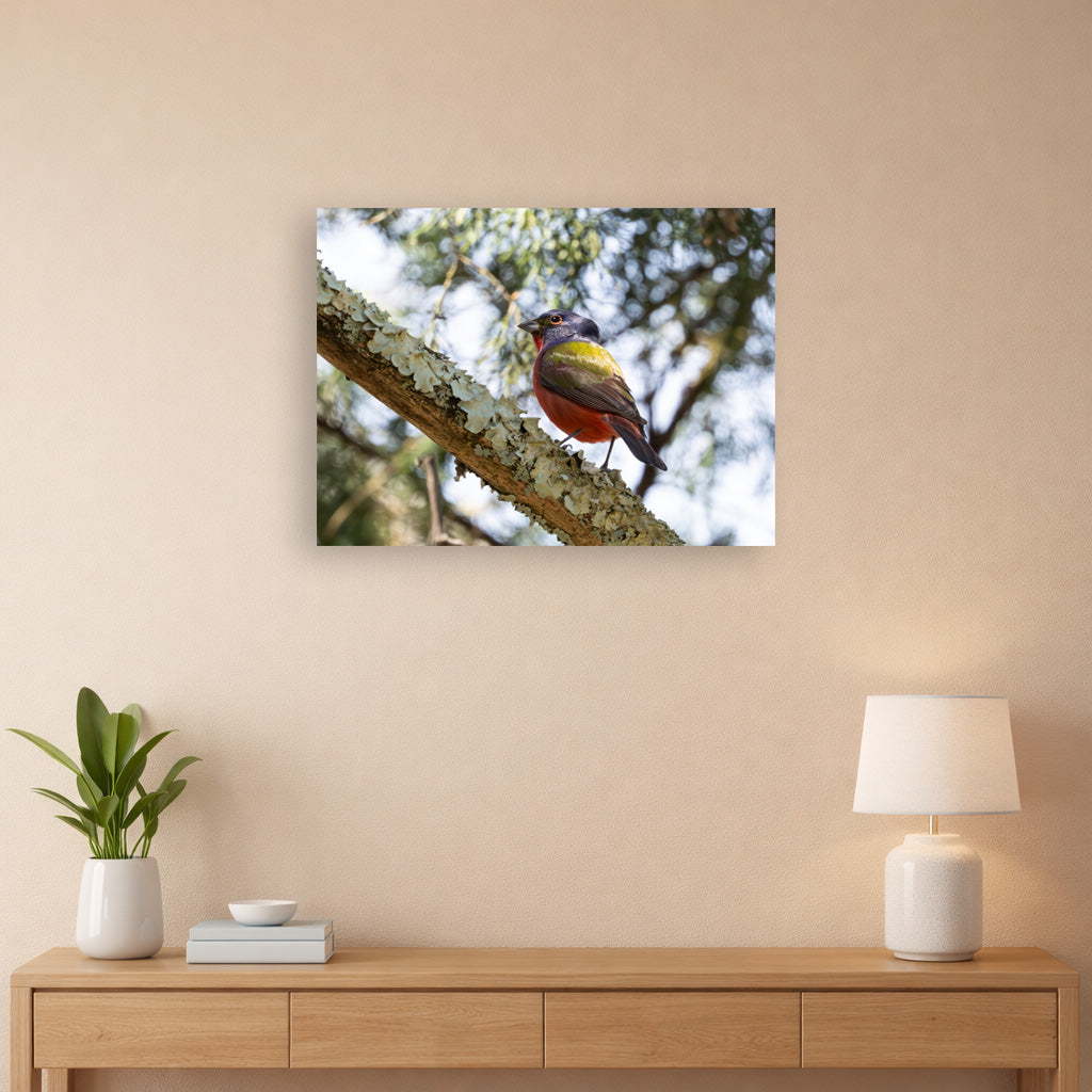 a0b4a222-8b66-4694-8076-206a41ff75f6