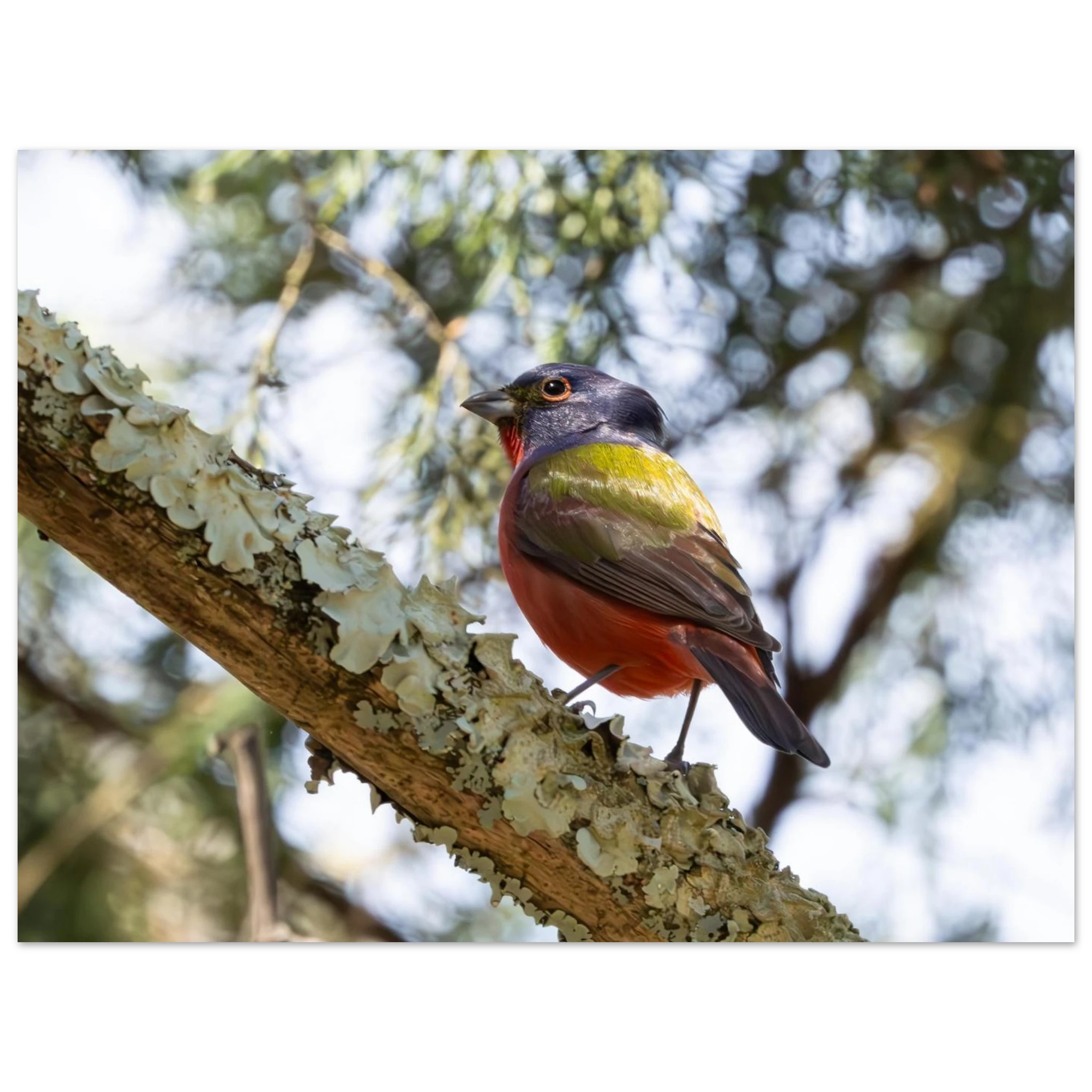 e6ab16f2-6194-4ad5-a6d8-7f630acd9b42